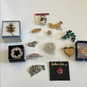 Brooches and Pins Bundle - 14 in All
